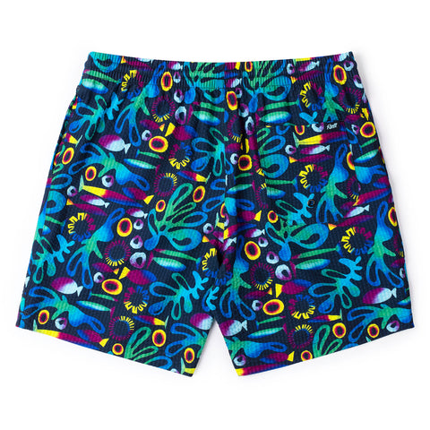 rad-reef-stretch-seersucker-hybrid-shorts