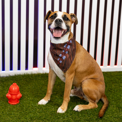 star-wars-the-chewie-dog-bandana