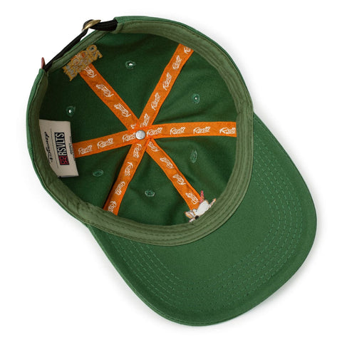 rsvlts-disney-hat-disneys-robin-hood-the-outlaw-of-nottingham-dad-hat